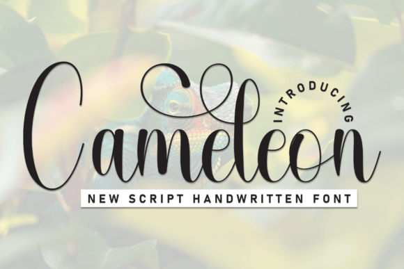 Cameleon: A Font That Elevates Your Brand’s Personality