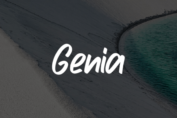 Genia: A Font That Works for Every Brand