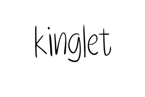 Kinglet: The Font That Adds Personality to Every Campaign